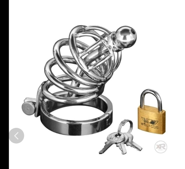 The Asylum Chastity Device