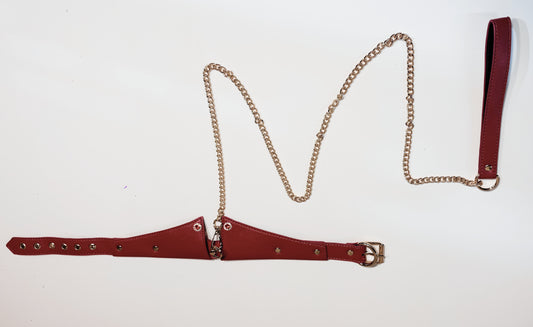 Collar and Lead Set