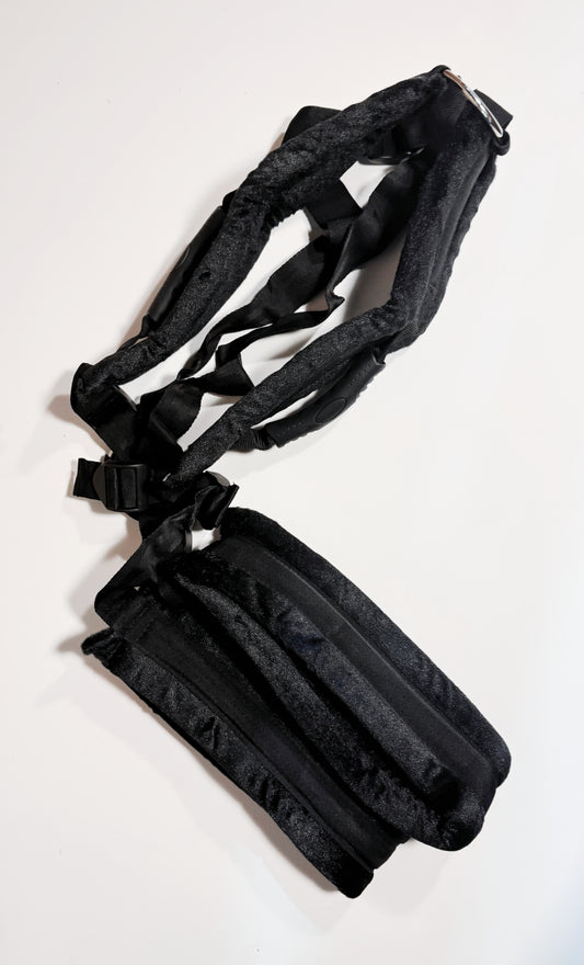Harness Swing
