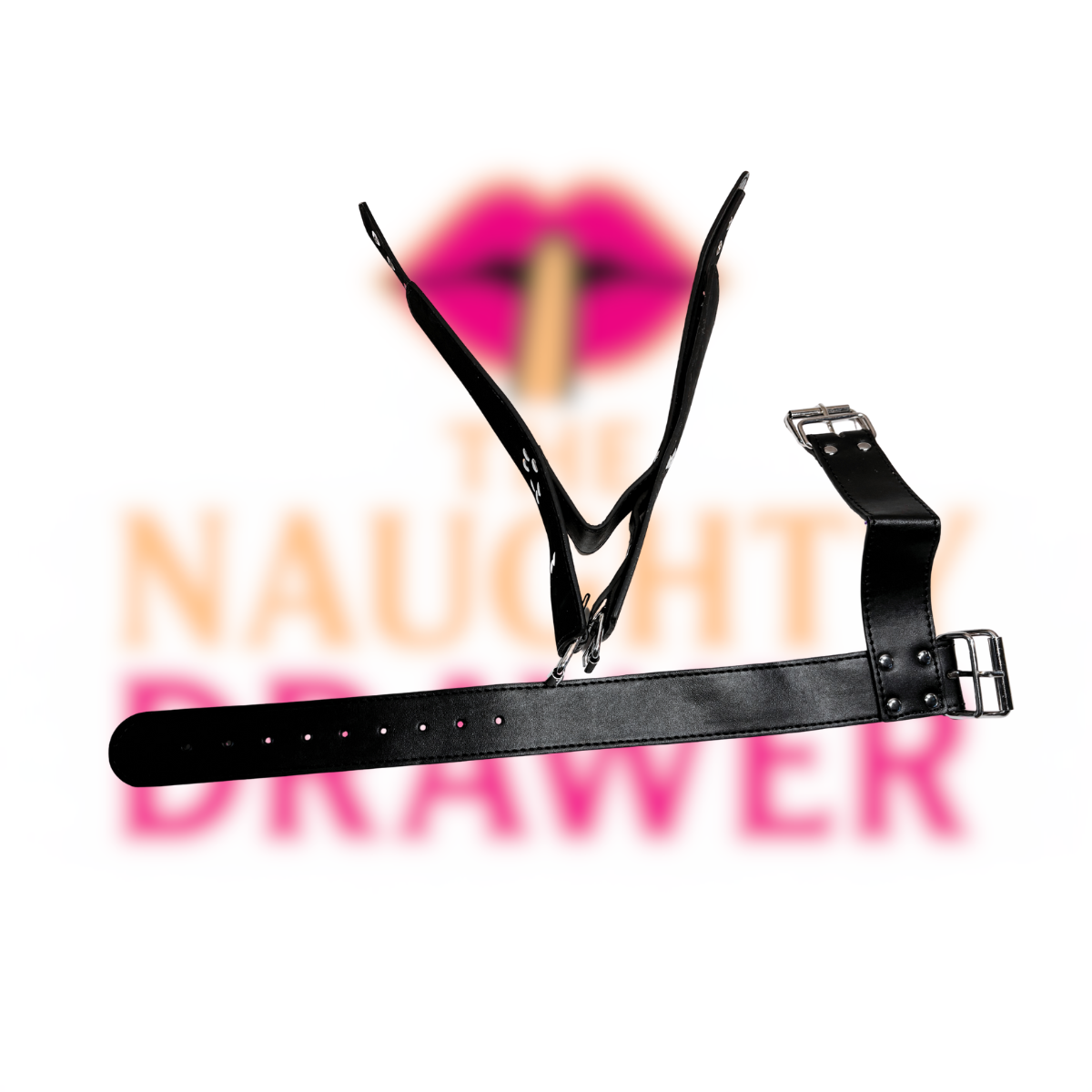 Leather Collar and Cuff