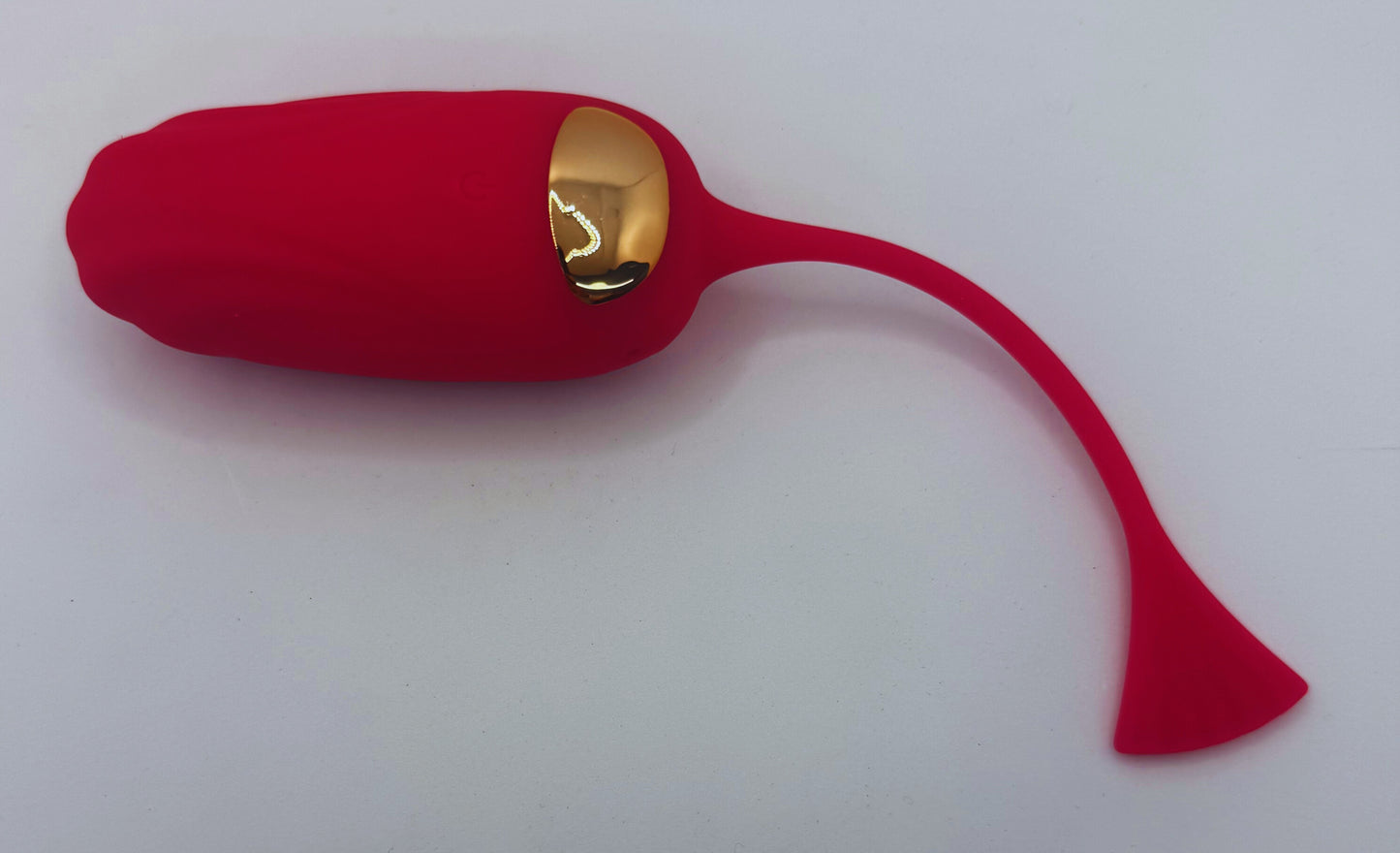 Remote Control Vibration Egg