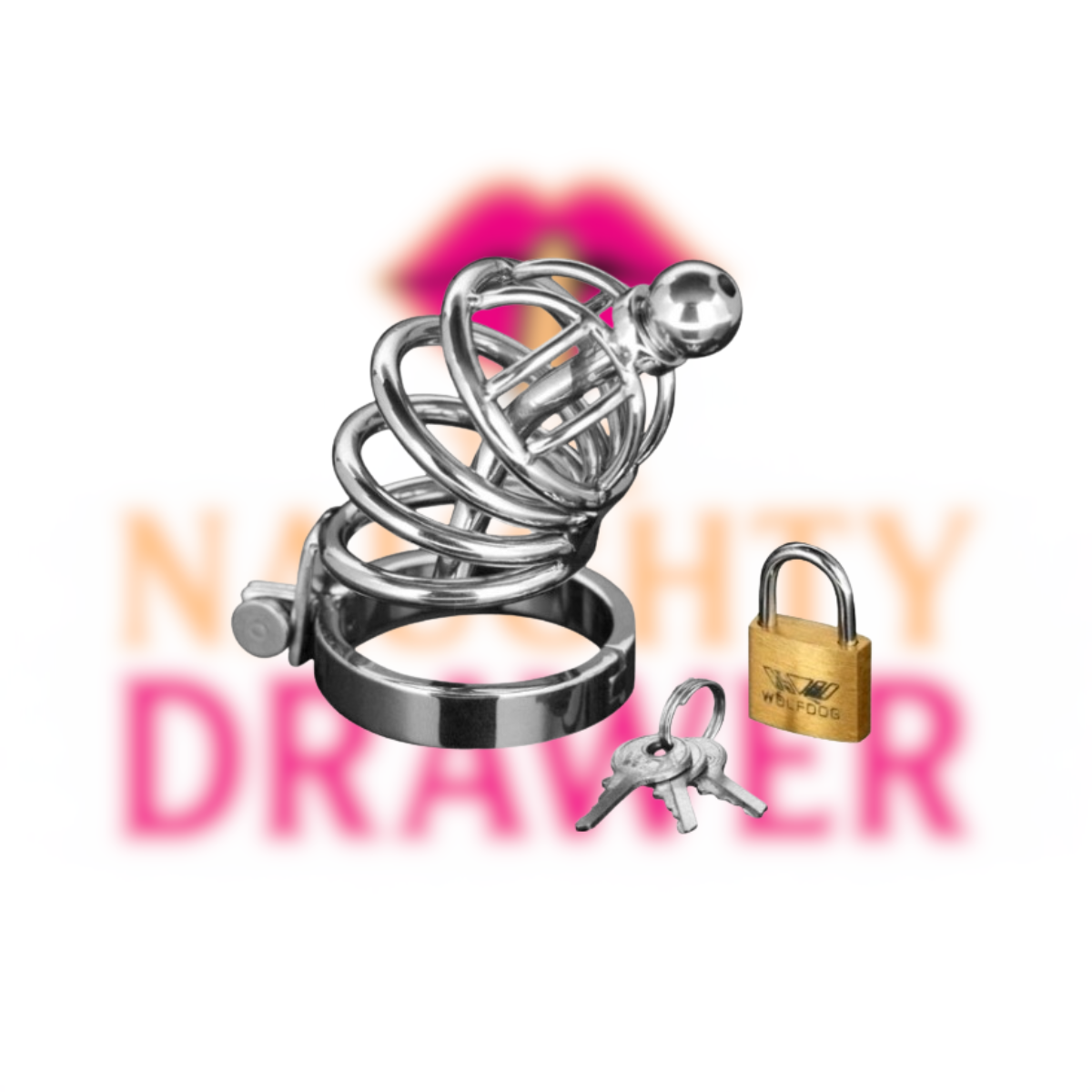 The Asylum Chastity Device