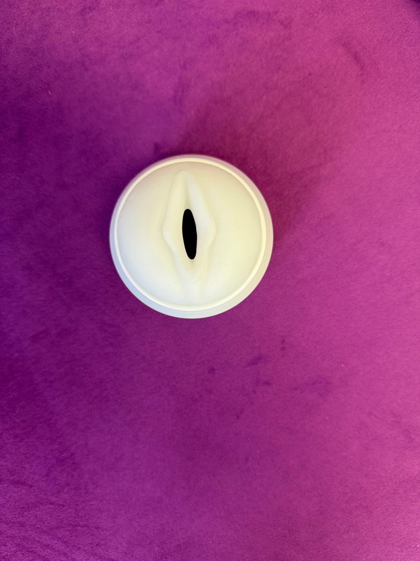 Astronaut Masterbation Cup - App Controlled